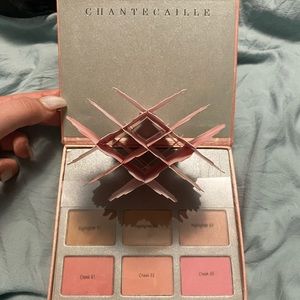 Chantecaille Cheek and Highlighter Palette